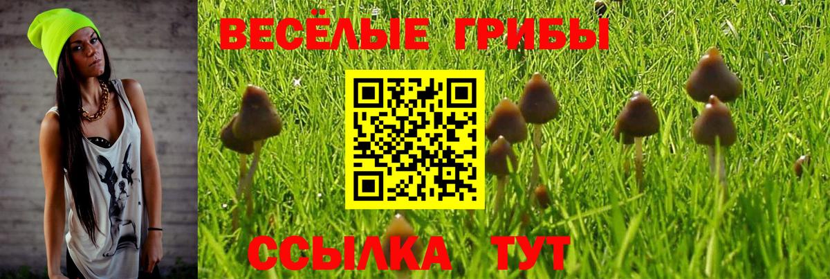 магазин  наркотиков  Вход с VPN  Наро-Фоминск  Псилоцибиновые грибы прущие грибы 