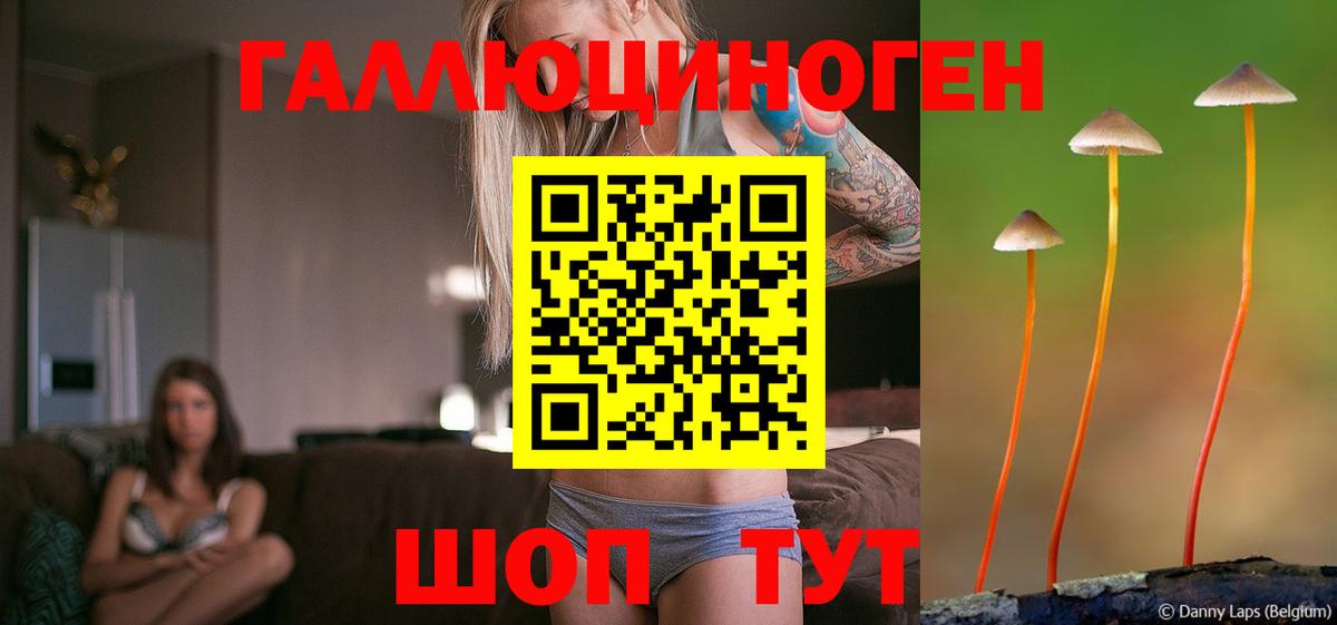 Псилоцибиновые грибы мицелий Наро-Фоминск